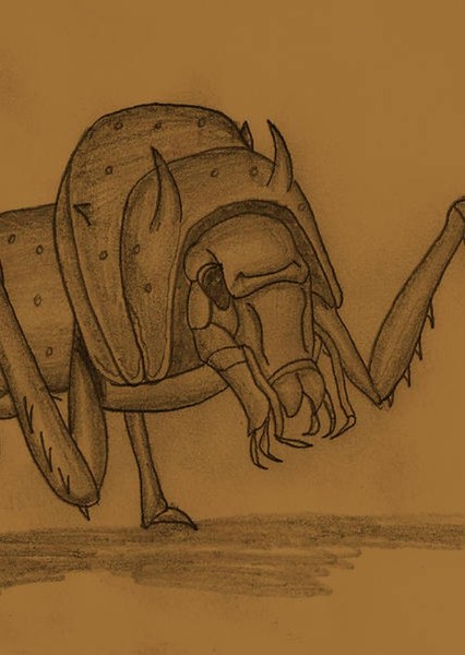 Decarnocimex photo