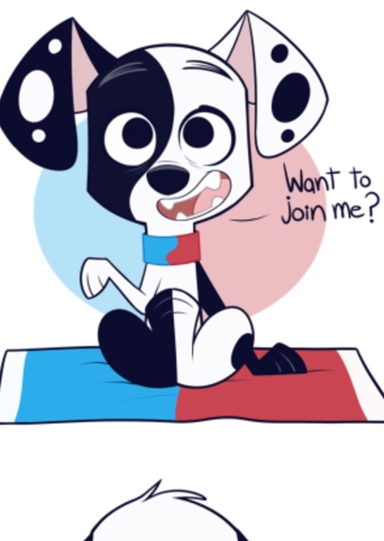 Deepak Dalmatian photo