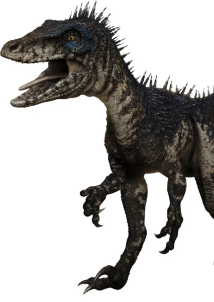 Deinonychus photo