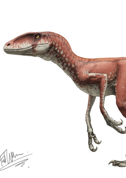 Deinonychus photo