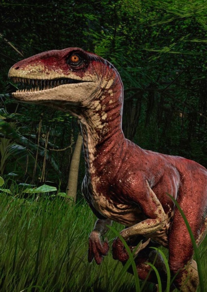 Deinonychus photo