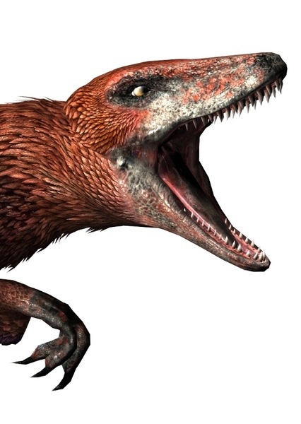 Deinonychus photo