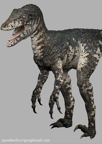 Deinonychus photo