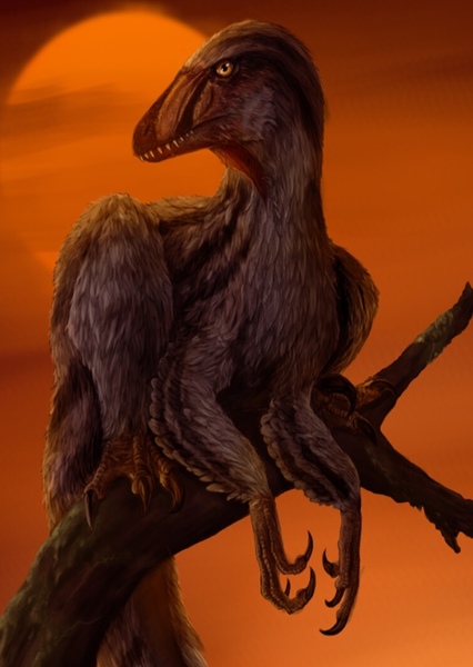 Deinonychus photo