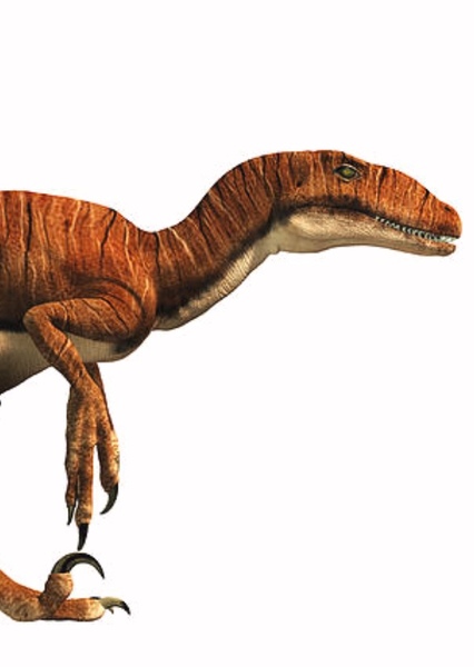 Deinonychus photo