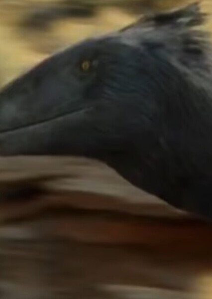 Deinonychus (Life On Our Planet)