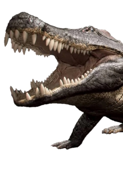 Deinosuchus photo