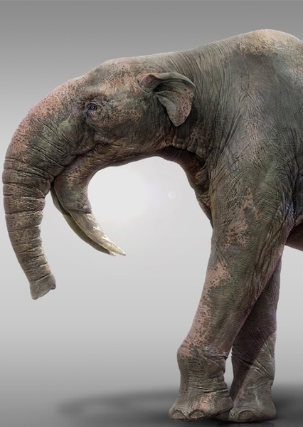 Deinotherium