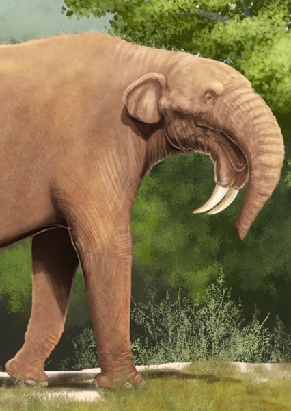 Deinotherium photo