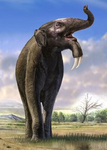 Deinotherium photo