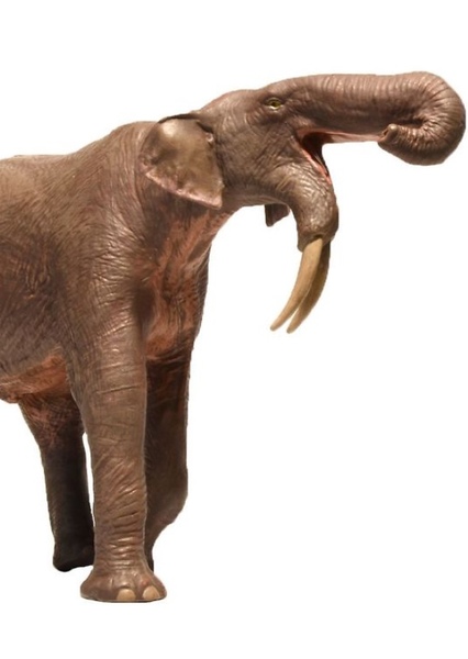 Deinotherium