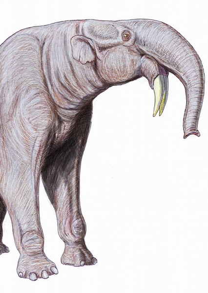 Deinotherium photo