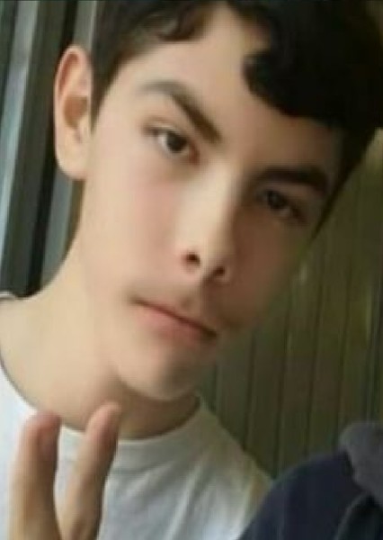 Delfino Araujo