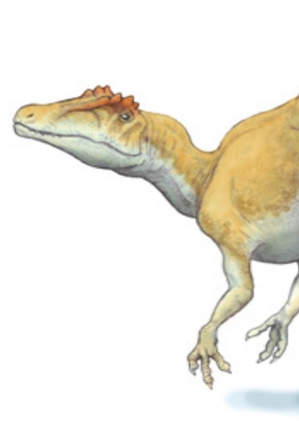 Deltadromeus photo