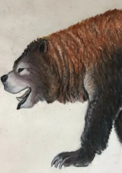 Deninger's bear