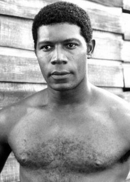 Dennis Haysbert photo