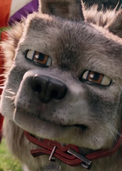 Dennis the Wolf photo