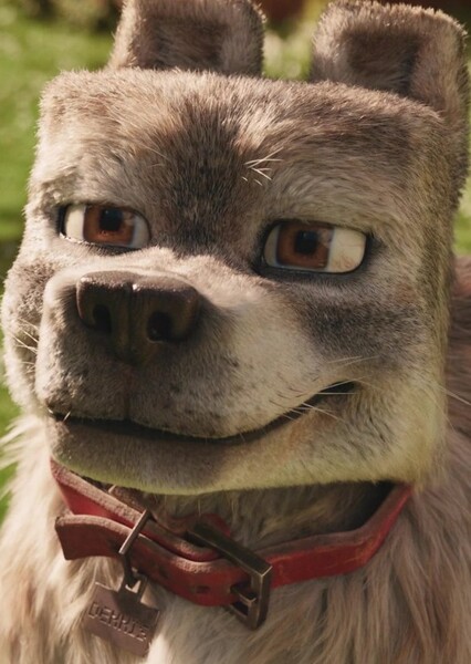 Dennis the Wolf