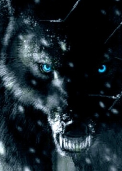 Derek Hale photo