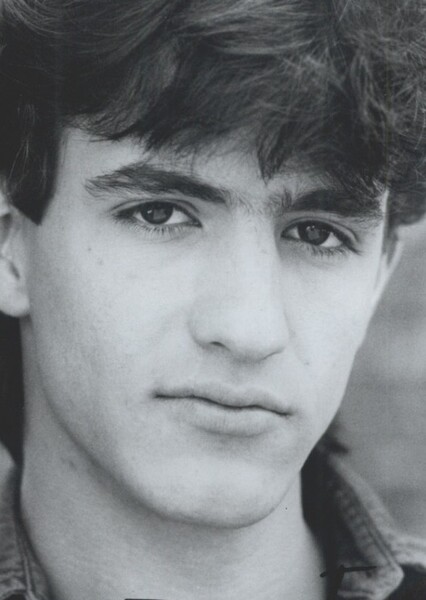 Dermot Mulroney photo