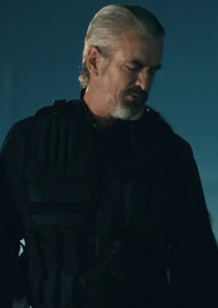 Dermot Mulroney photo