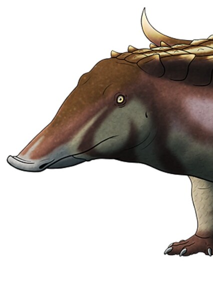 Desmatosuchus photo