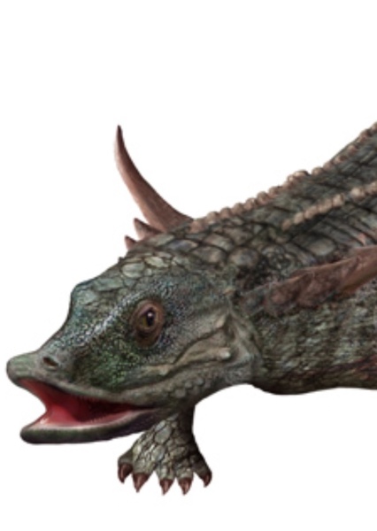 Desmatosuchus photo
