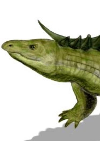 Desmatosuchus photo