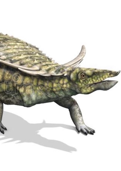 Desmatosuchus