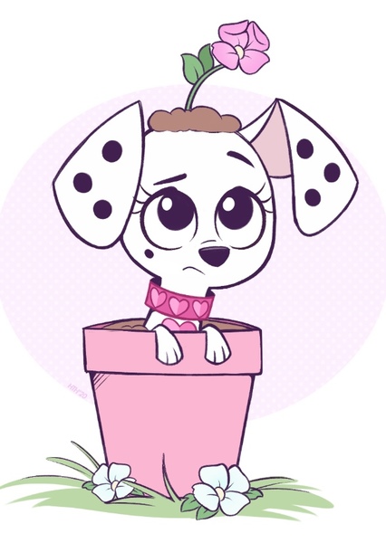 Destiny Dalmatian photo
