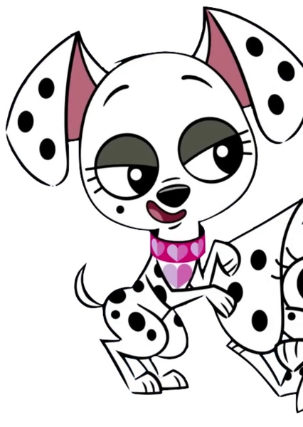 Destiny Dalmatian photo