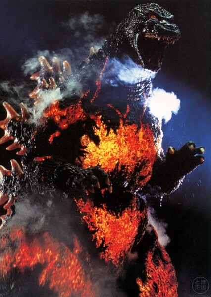 DesuGoji photo