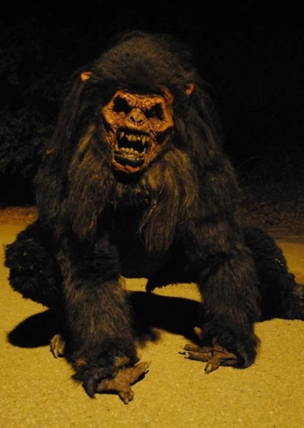 Devil Monkey photo