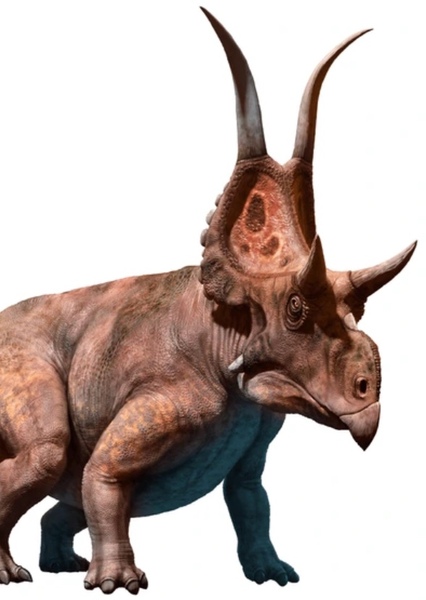 Diabloceratops photo