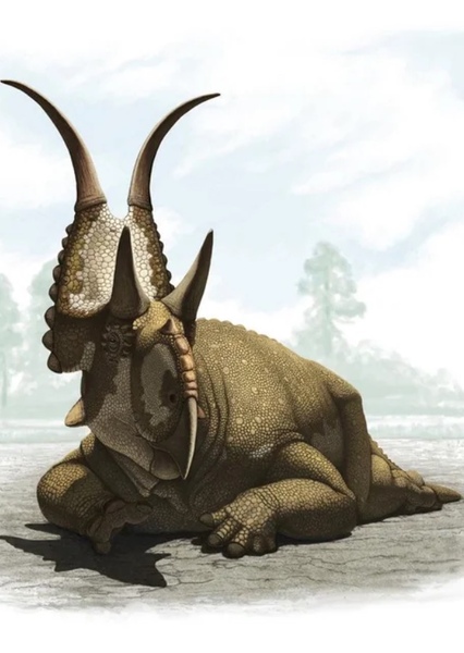 Diabloceratops photo