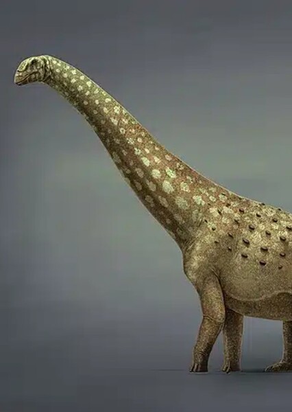 Diamantinasaurus photo