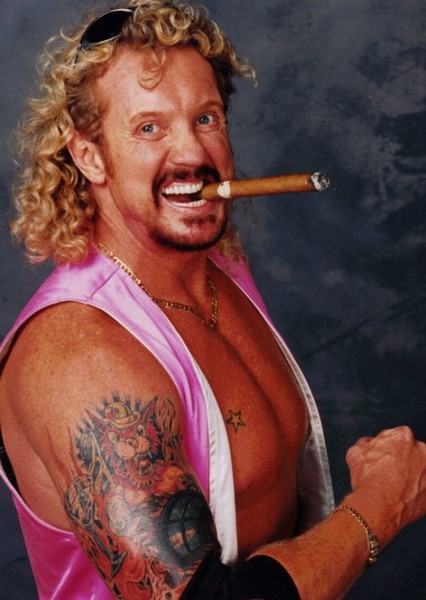 Diamond Dallas Page photo