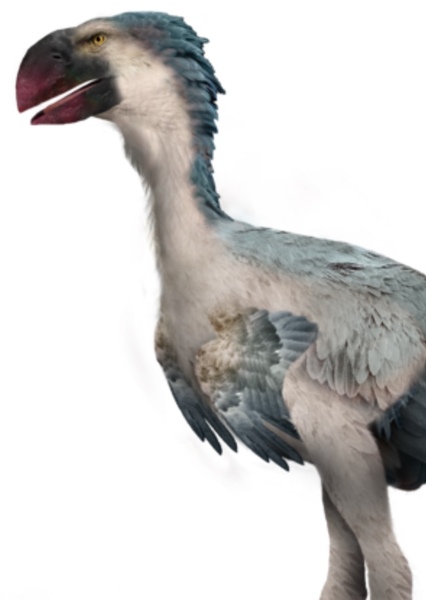 Diatryma