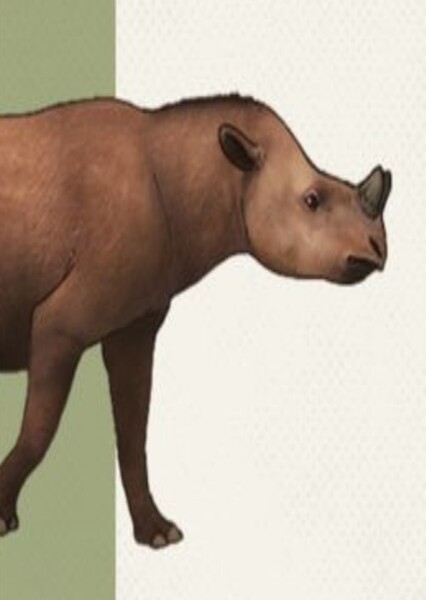 Diceratherium