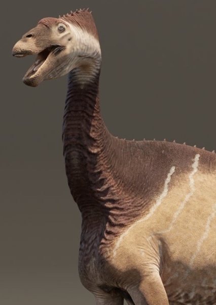 Dicraeosaurus