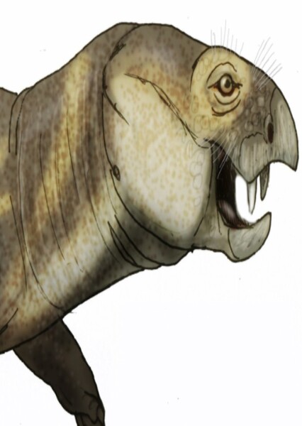 Dicynodon photo
