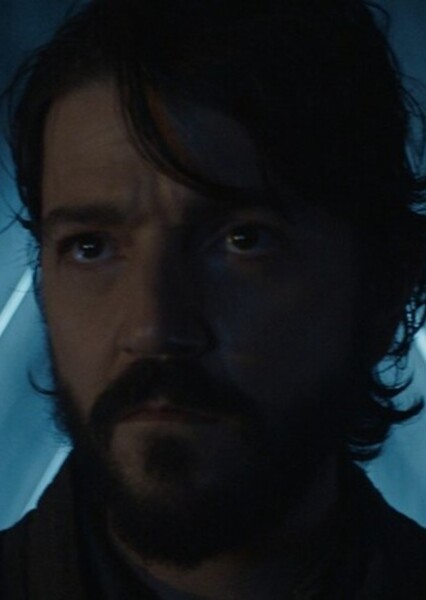 Diego Luna photo