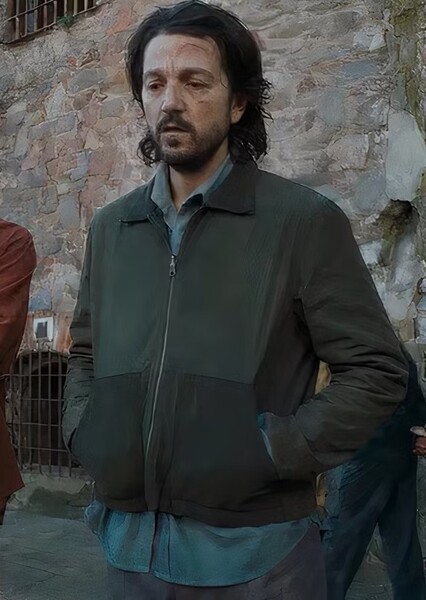 Diego Luna photo