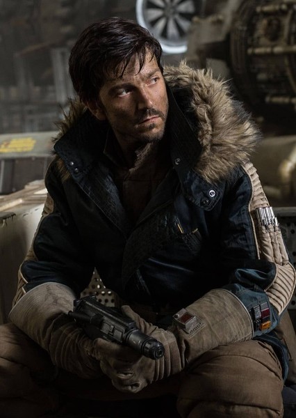 Diego Luna photo