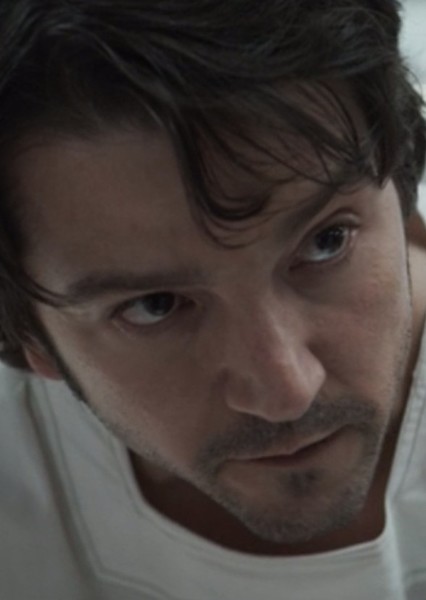 Diego Luna photo