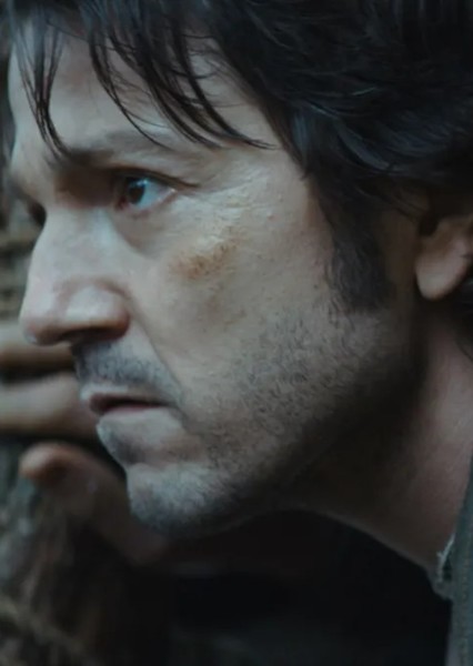 Diego Luna photo
