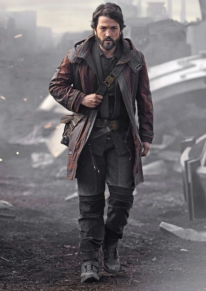 Diego Luna photo
