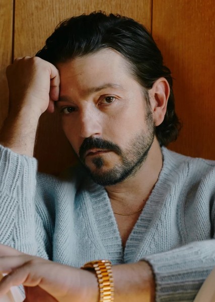 Diego Luna photo