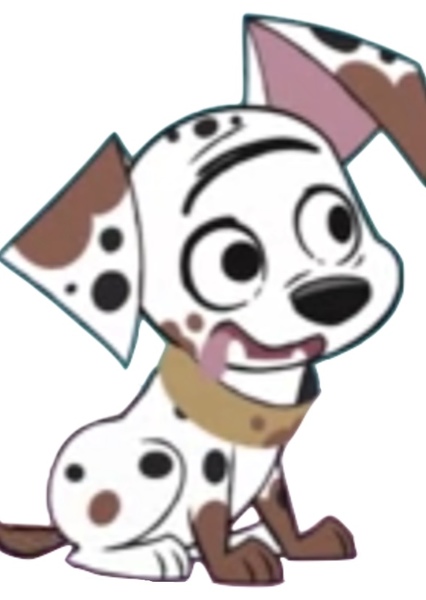 Diesel Dalmatian photo
