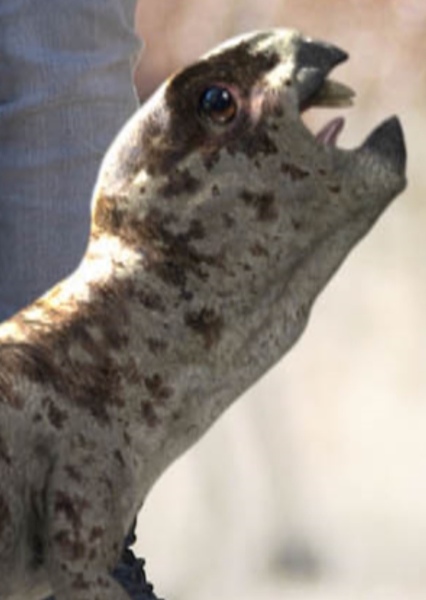 Diictodon photo